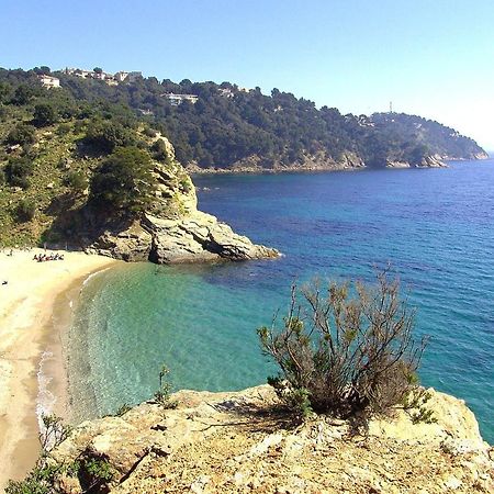 "Ti Sable" Agreable Studio Climatise, Jolie Vue Mer, Piscine A Cavalaire Sur Mer Golfe De St-Tropez Bagian luar foto