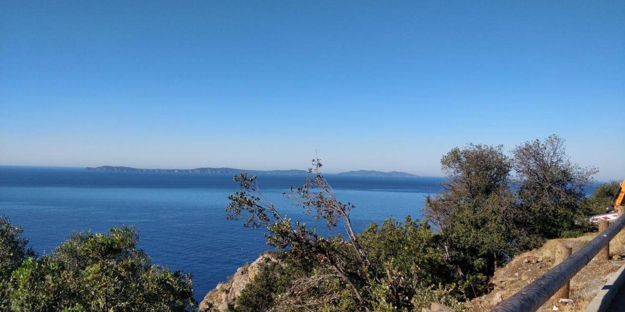 "Ti Sable" Agreable Studio Climatise, Jolie Vue Mer, Piscine A Cavalaire Sur Mer Golfe De St-Tropez Bagian luar foto