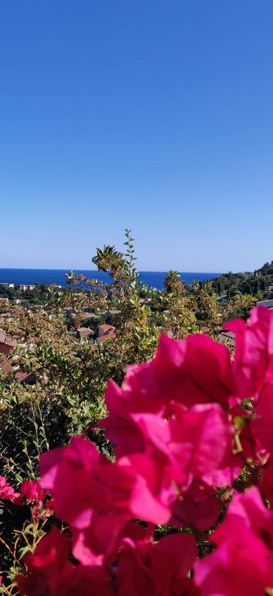 "Ti Sable" Agreable Studio Climatise, Jolie Vue Mer, Piscine A Cavalaire Sur Mer Golfe De St-Tropez Bagian luar foto